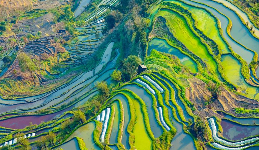 宝妈必备神器：崇仁县产品视频拍摄轻松育儿好帮手