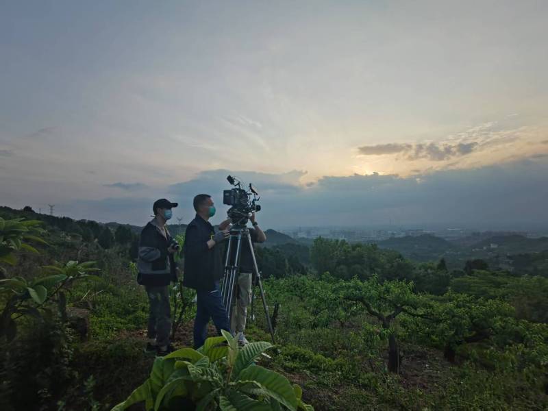 创意破圈！崇仁县电商产品宣传视频用故事化叙事引爆流量