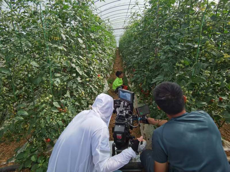 崇仁县产品宣传视频拍摄公司进阶指南，助力品牌抢占传播高地